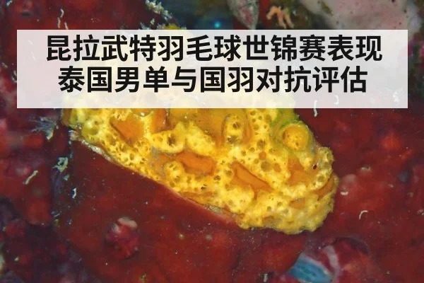昆拉武特羽毛球世锦赛表现 泰国男单与国羽对抗评估